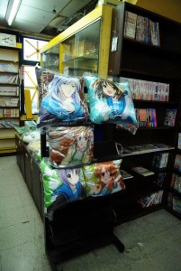 小方枕展示