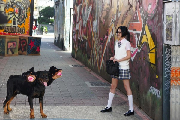 「地獄犬」兇猛撲向卓文萱
