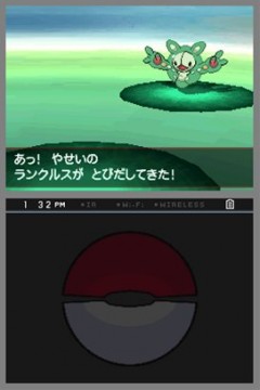 蘭庫魯斯
