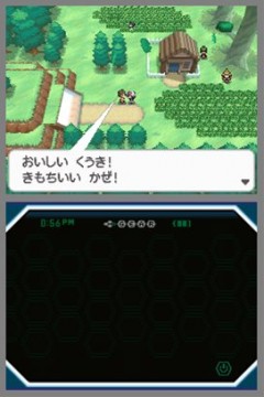白色森林