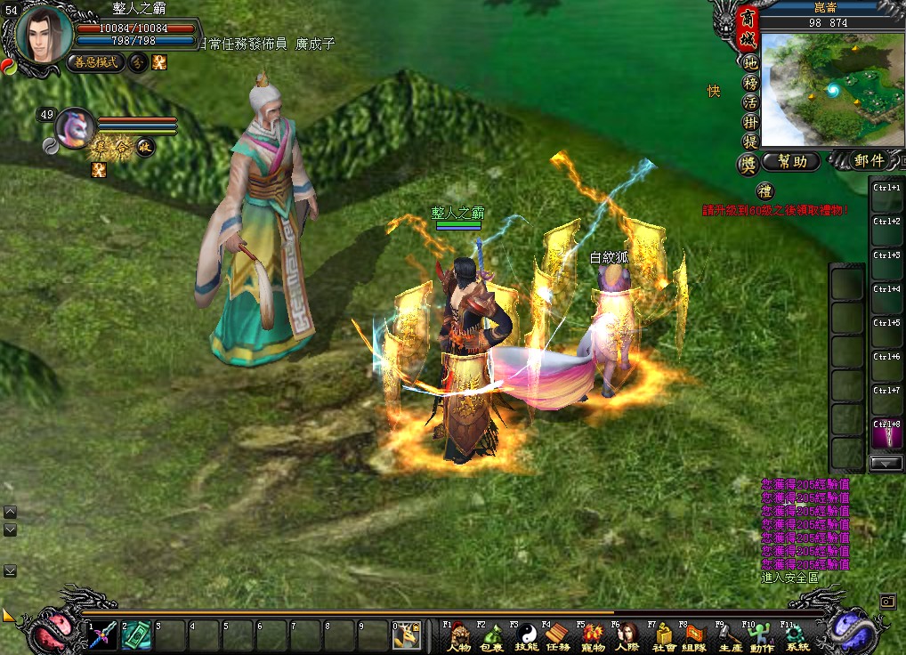 寵物技能的戰神護佑效果