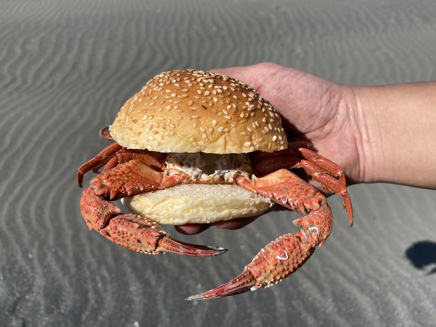 完美重現遊戲中荒原料理:螃蟹烤餅/真實版螃蟹烤餅 image