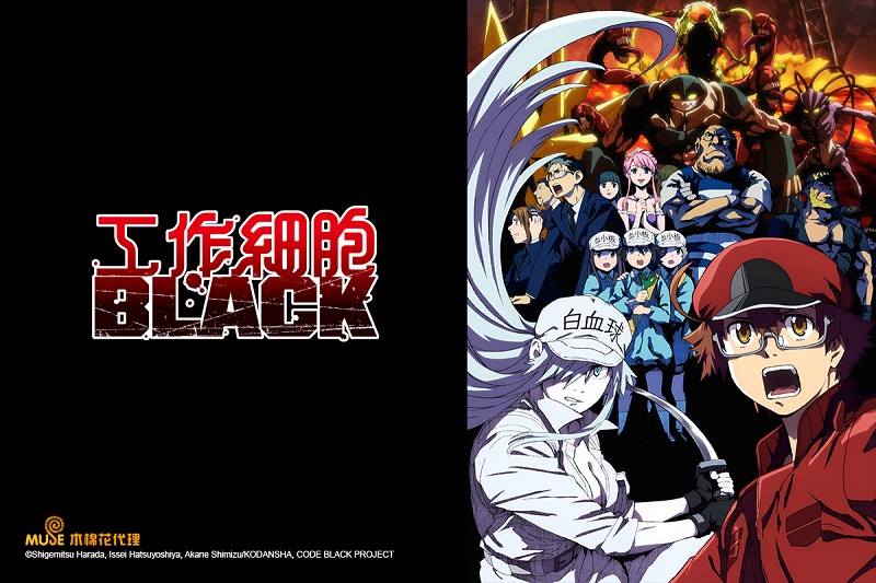 工作細胞black 2 線上看 巴哈姆特動畫瘋