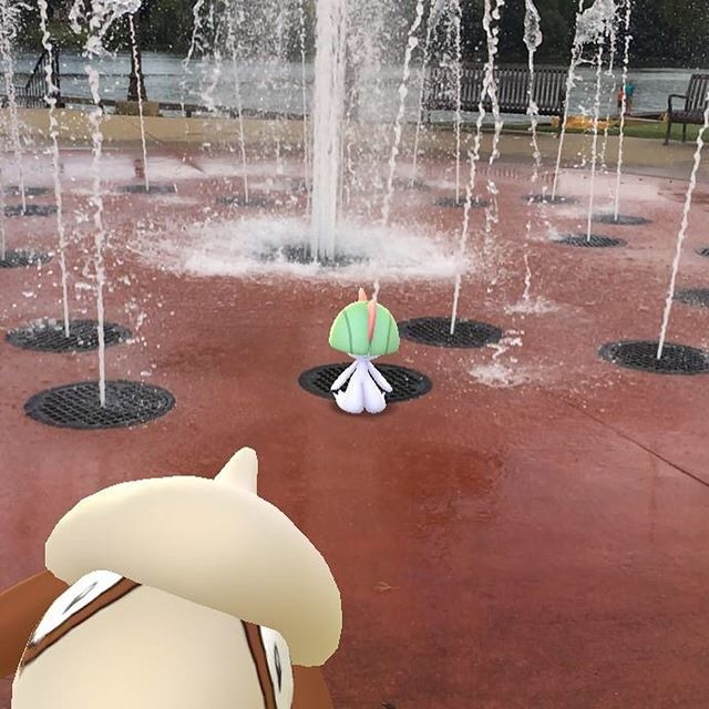 Pokemon Go 公布九月社群日主角寶可夢為 草苗龜 同步釋出宣傳影片 Pokemon Go 巴哈姆特