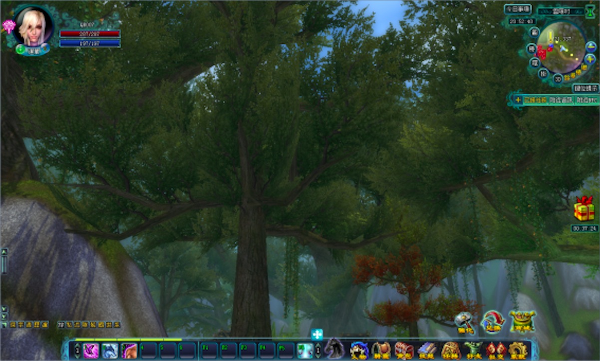 雲隱村郊外的森林