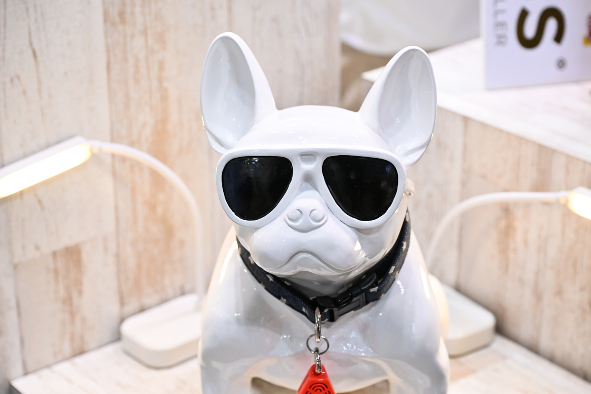 主打隨處可見的狗貓裝置藝術也能看出作者的用心 image