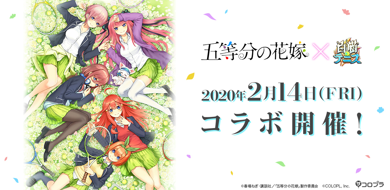 白貓tennis X 五等分的新娘 合作2 月14 日開跑同步公開預告pv Shironeko Tennis 巴哈姆特