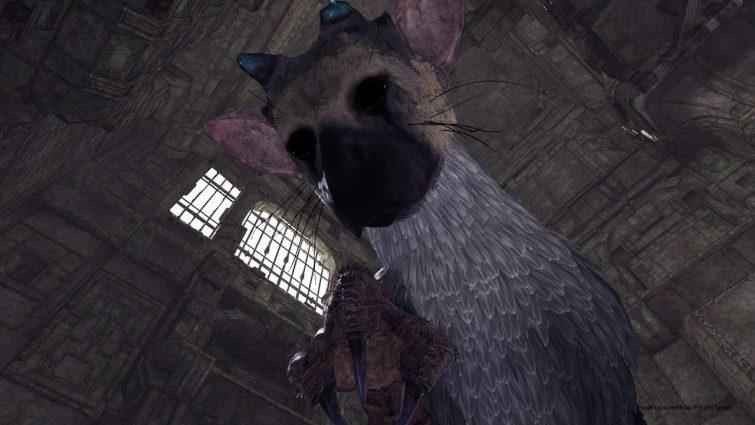 Steam Workshop::The Last Guardian (食人巨鷹 TRICO)