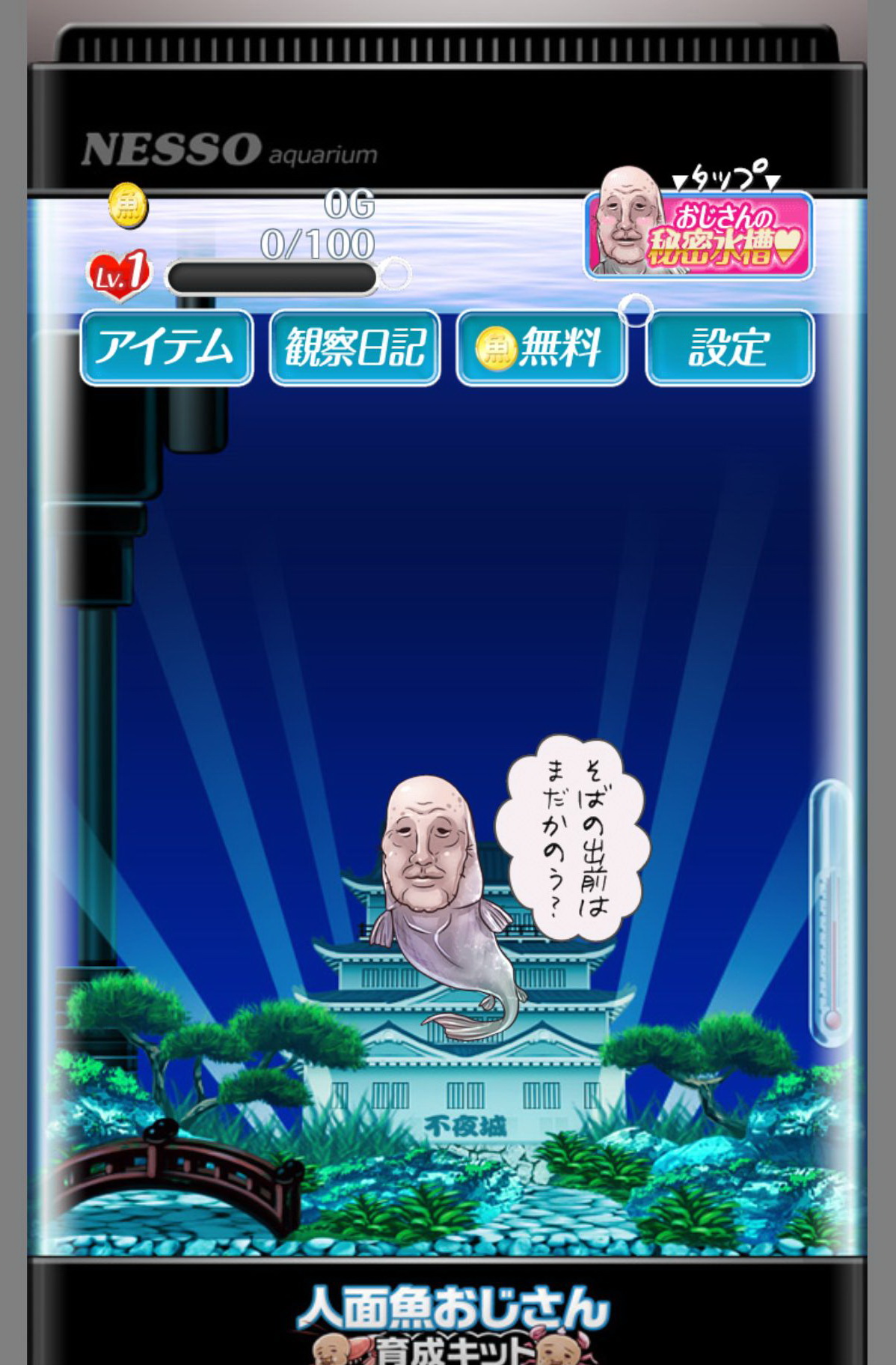 楽天市場】人面魚の通販