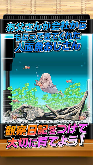 試玩】動手養成「人面魚」的奇異電波作品《Human face fish man