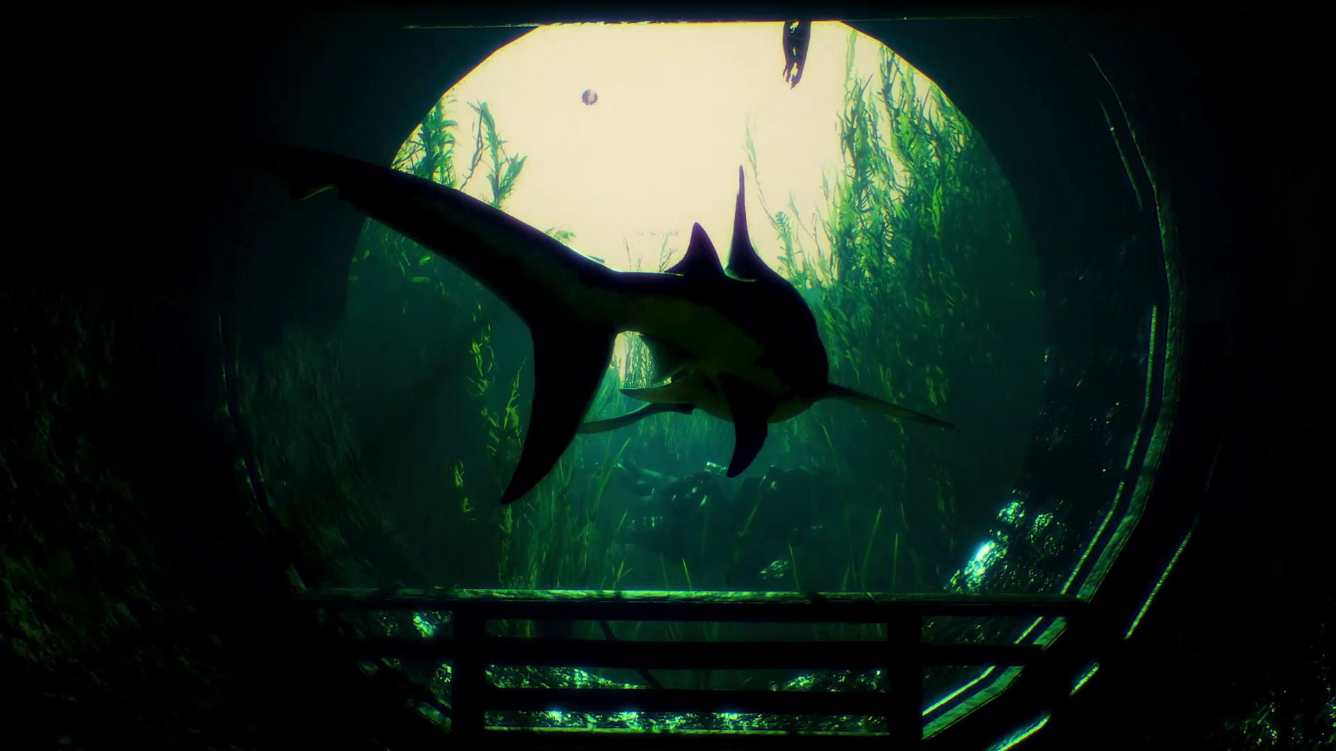 食人鯊Maneater》繁體中文版即將登陸PS5 / PS4 / NS 平台《Maneater 