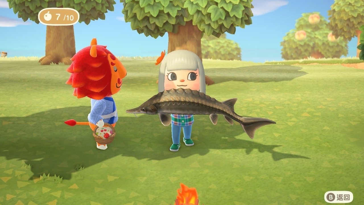 想先充實自己的小天地?或是幫忙收集物品?完全看自己的心情行動! image