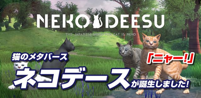 貓的元宇宙《Neko Deesu》於手機平台推出 化身貓咪體驗爭奪玩具球的樂趣