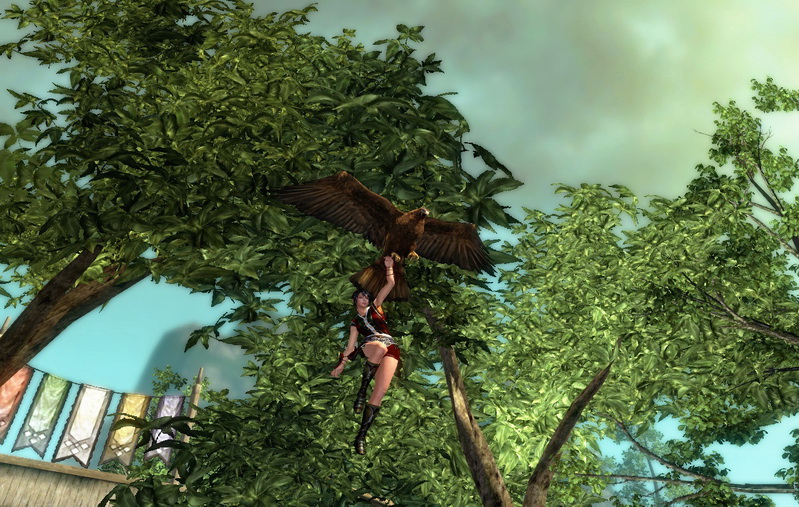 抓著老鷹飛別有一番風味