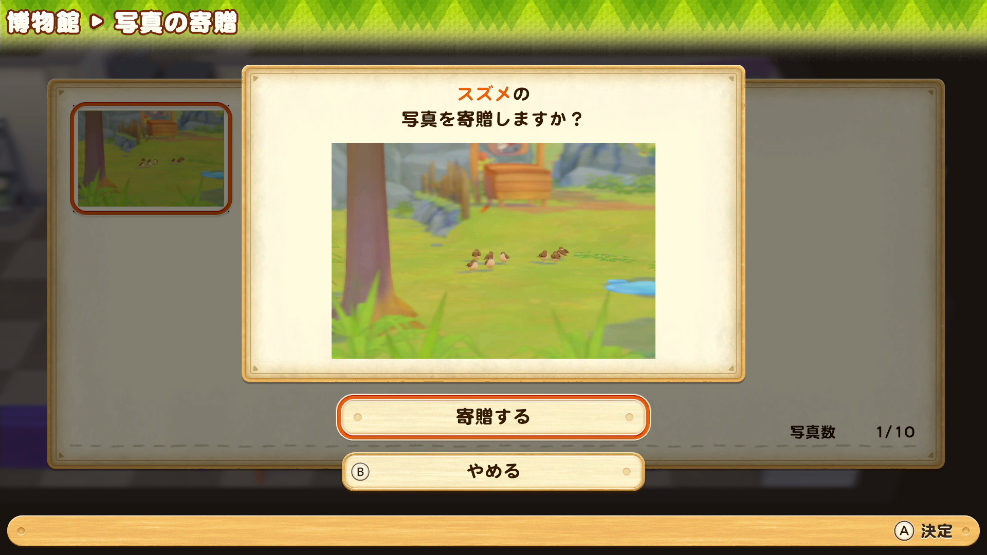 以及拍攝野生動物或昆蟲的照片,並裝飾在鎮上的博物館裡…… image