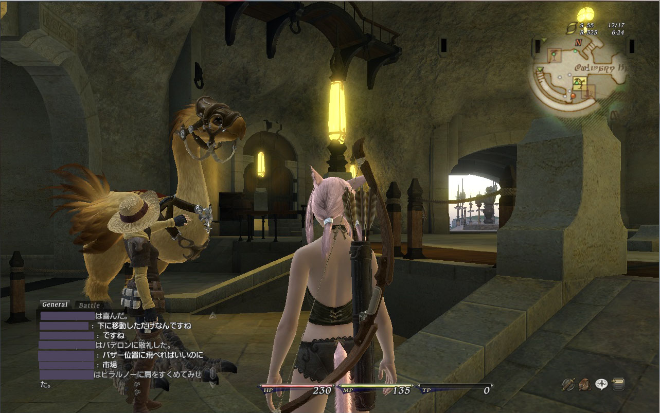 雖然現在還沒有開放陸行鳥乘坐,不過跟據以往經驗以後應該也會有