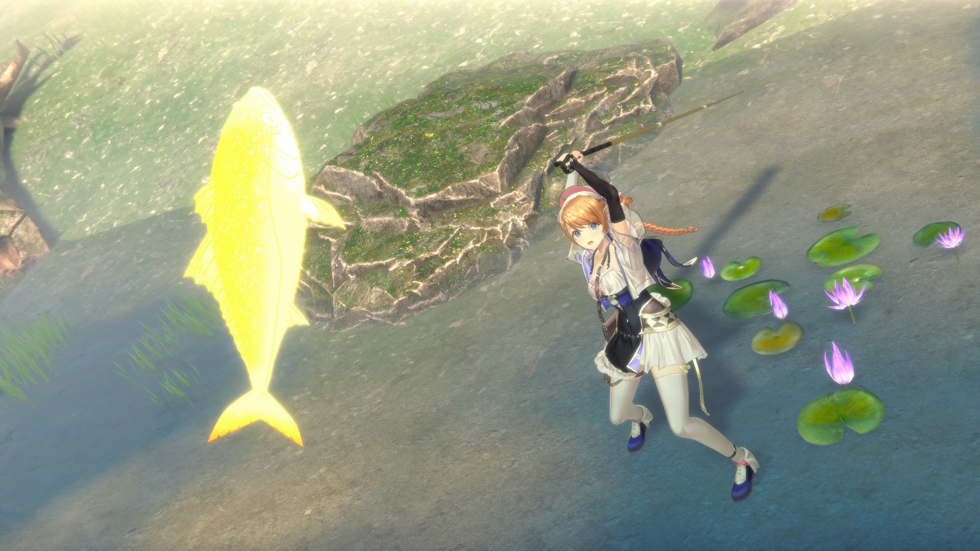 玩家將探索迷宮收集調和所需的素材,遊戲中提供了多種採集方式。 image