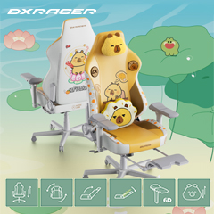 卡皮巴拉聯名椅登場！ DXRACER 萌寵電競椅等你贏！