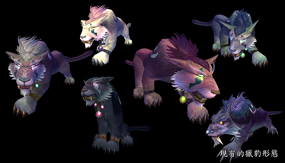夜精靈德魯伊獵豹形態