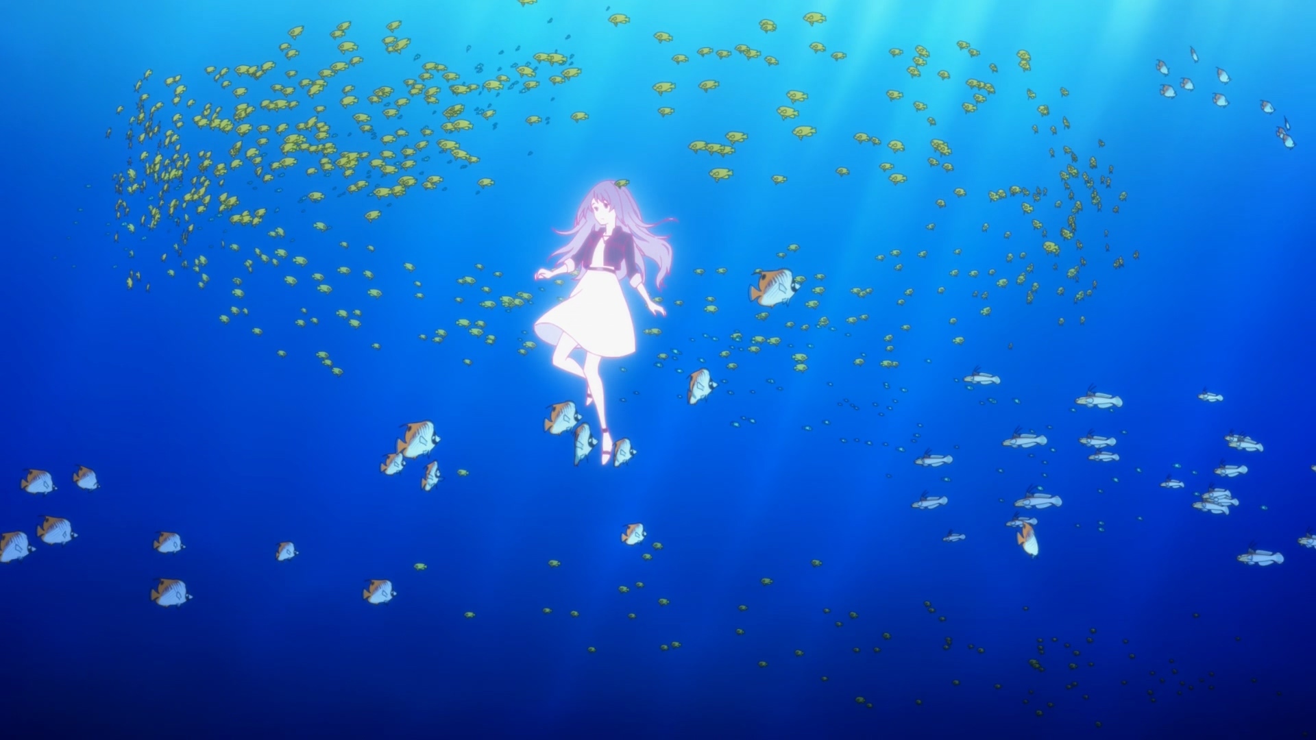 試片 白沙的aquatope P A Works 原創動畫在沖繩追逐夢想的少女 白い砂のアクアトープ 巴哈姆特