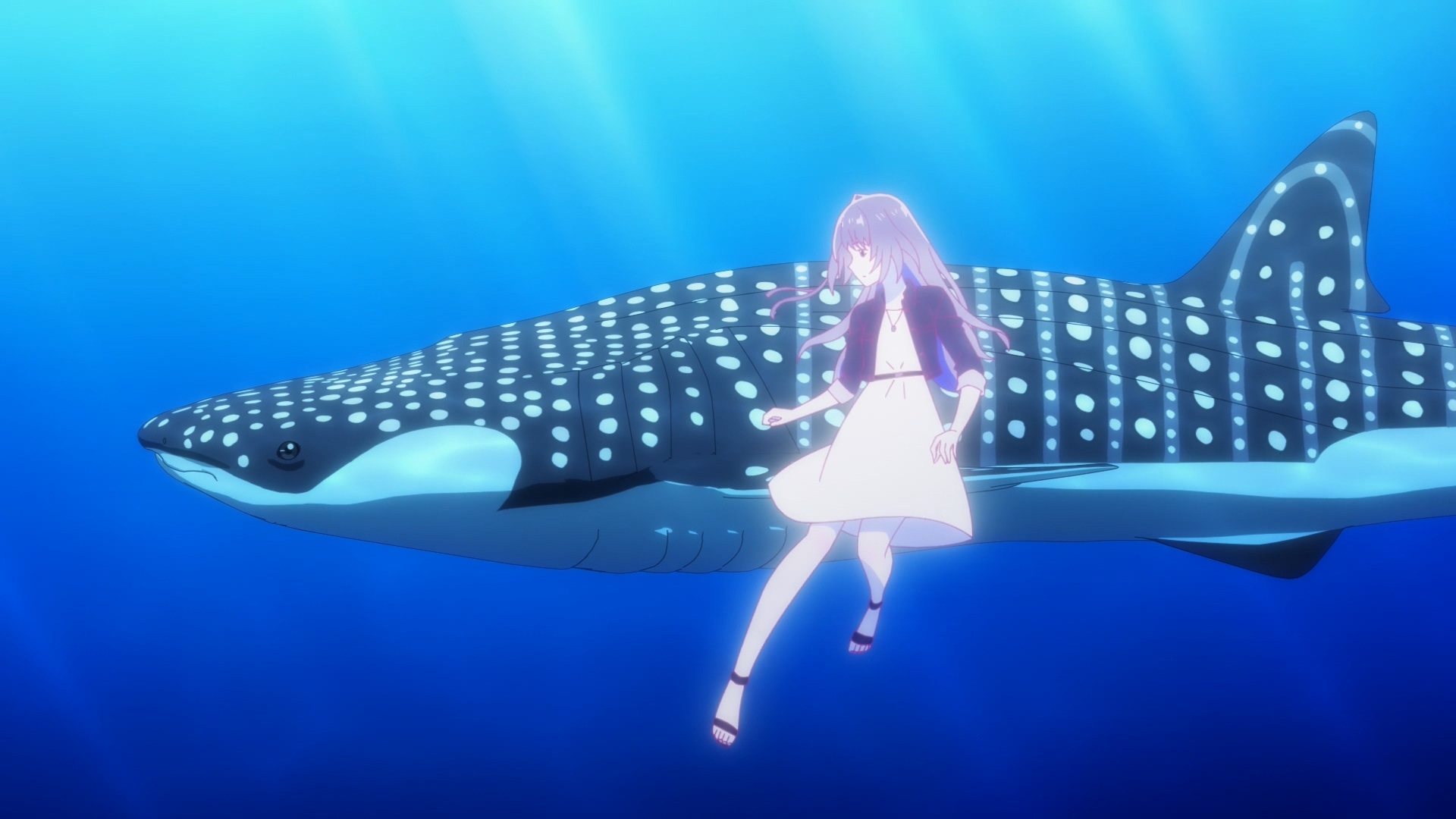 試片 白沙的aquatope P A Works 原創動畫在沖繩追逐夢想的少女 白い砂のアクアトープ 巴哈姆特