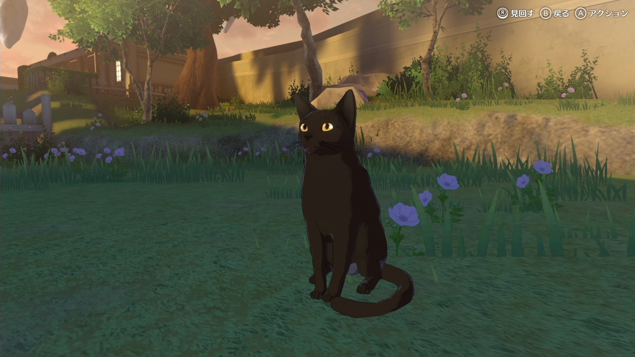 能同時放牧的動物最多五隻,還有可愛的貓貓哦 image