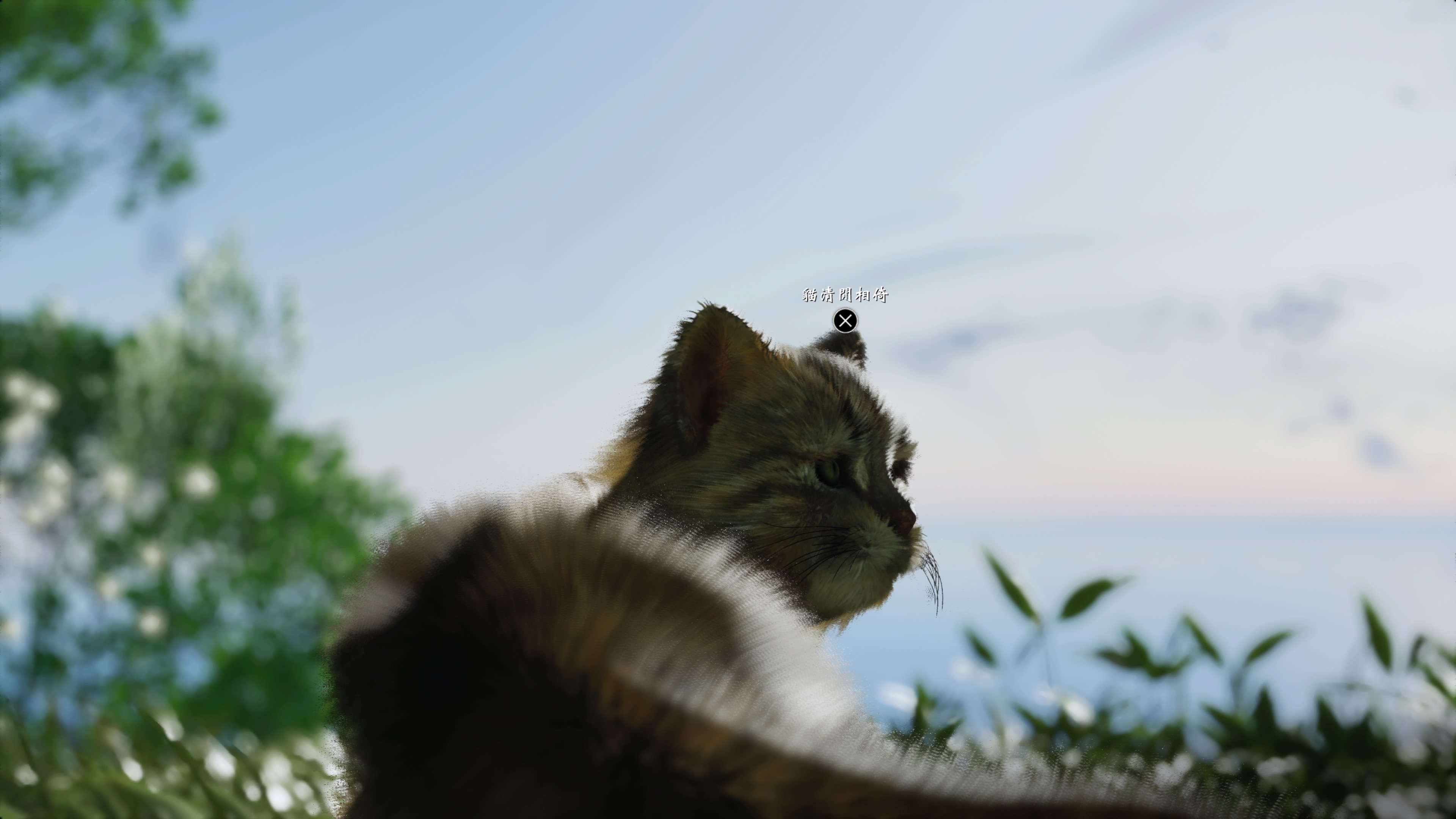 壹歧島上也有俳句,而且會以當地的動物為靈感 image