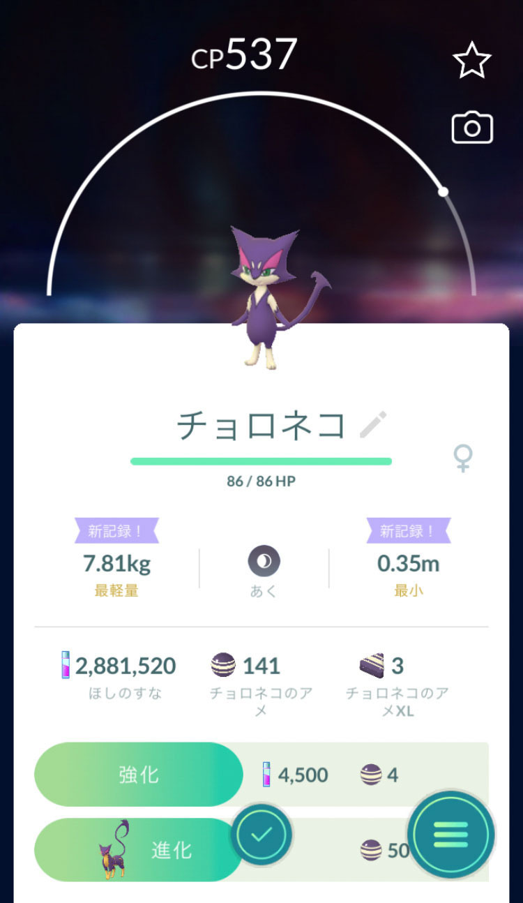 實裝了新的寶可夢尺寸,並且可以看到自己目前為止的取得紀錄 image