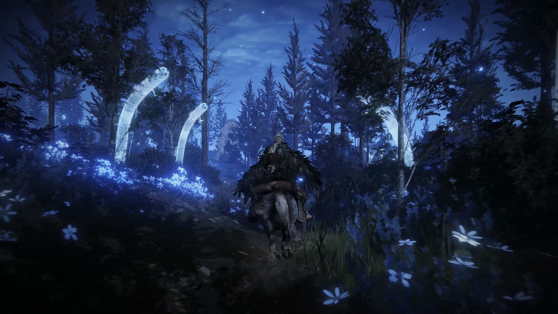 晚上的地圖別有一番風味 image