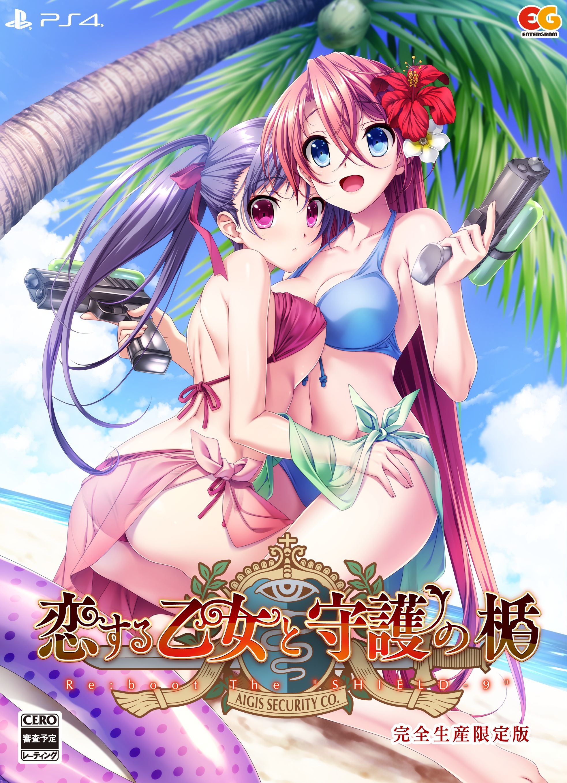 完全生產限定版 軟體外盒 image