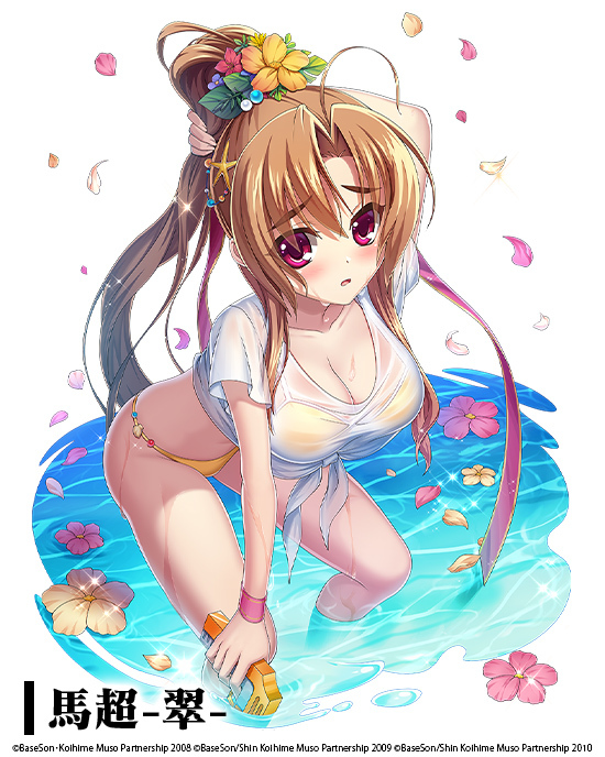 合作召募登場!新合作武將擁有在活動內十分活躍的特殊效果! image