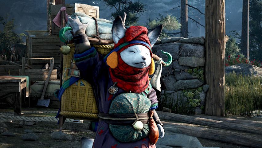 來自永冬之山獸人族阿貝斯的雪狐蘭杜 image