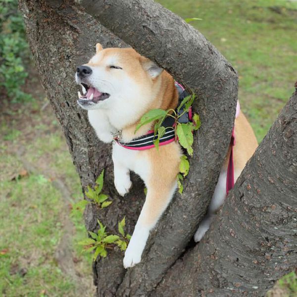 風も空も雲も何も僕はきっと選べない Sfh的創作 巴哈姆特