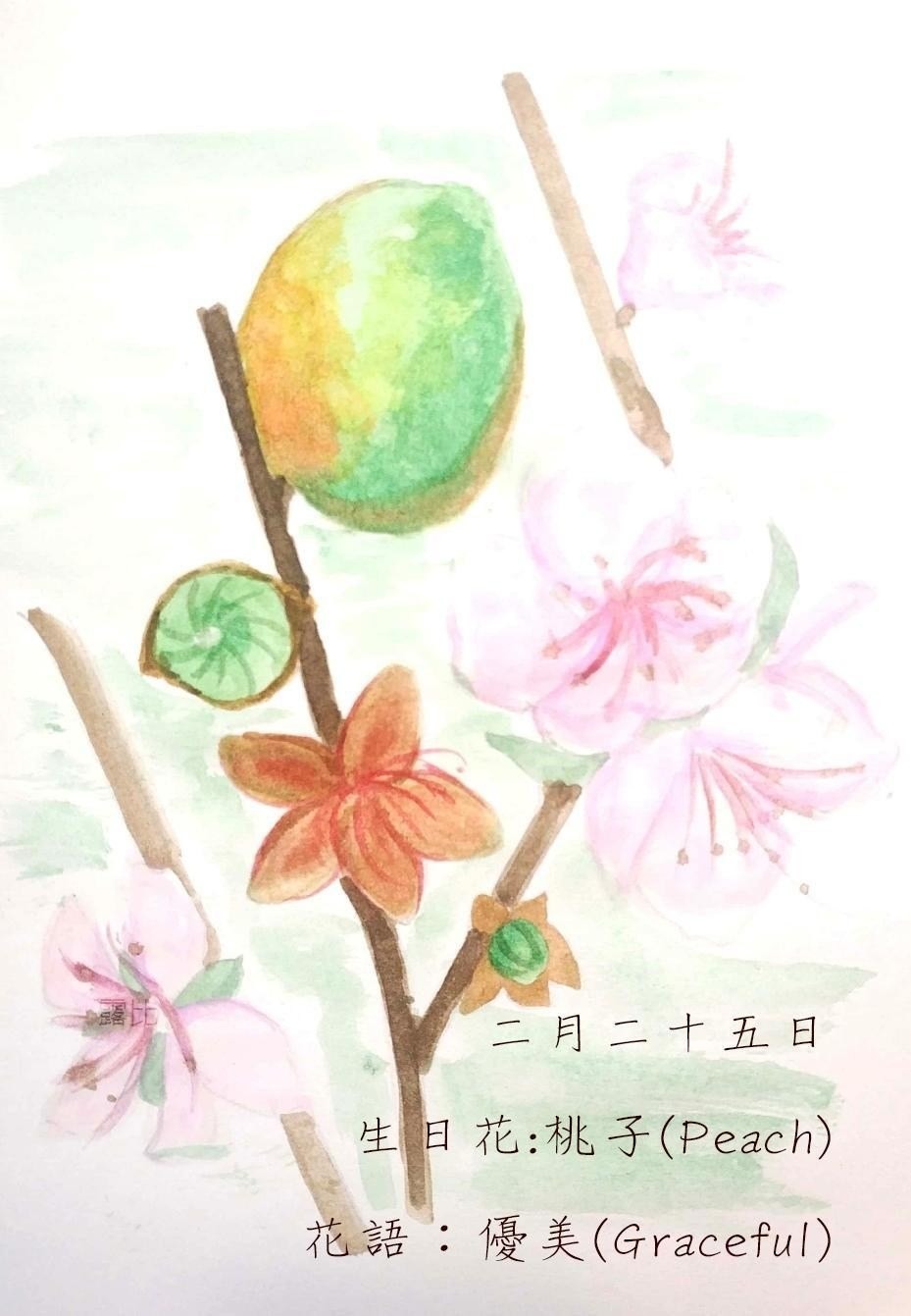 生日花 致2月25日的你 Justarabbit的創作 巴哈姆特