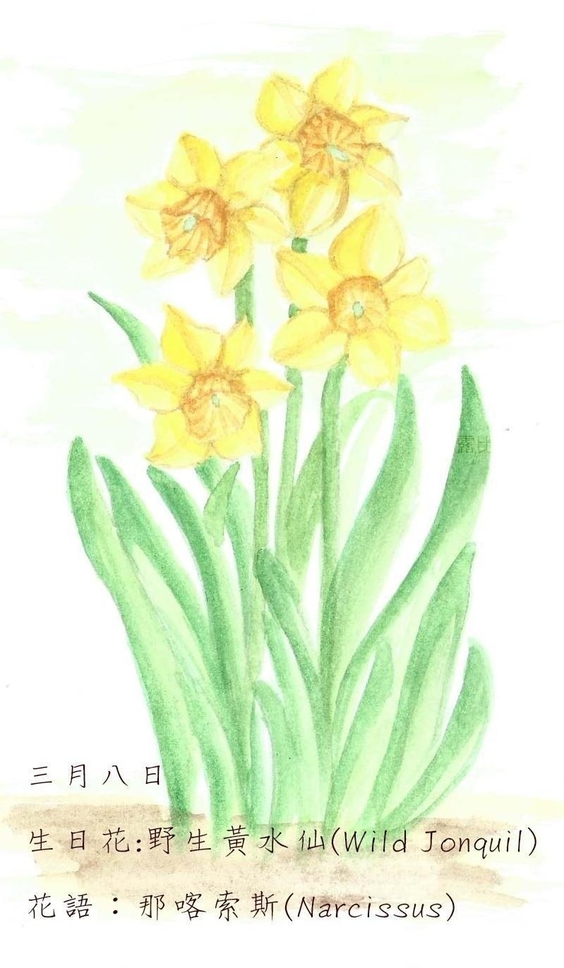 生日花 致3月8日的你 Justarabbit的創作 巴哈姆特