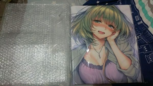 微開箱]ピロ水高垣楓抱枕- zxcvb86126的創作- 巴哈姆特