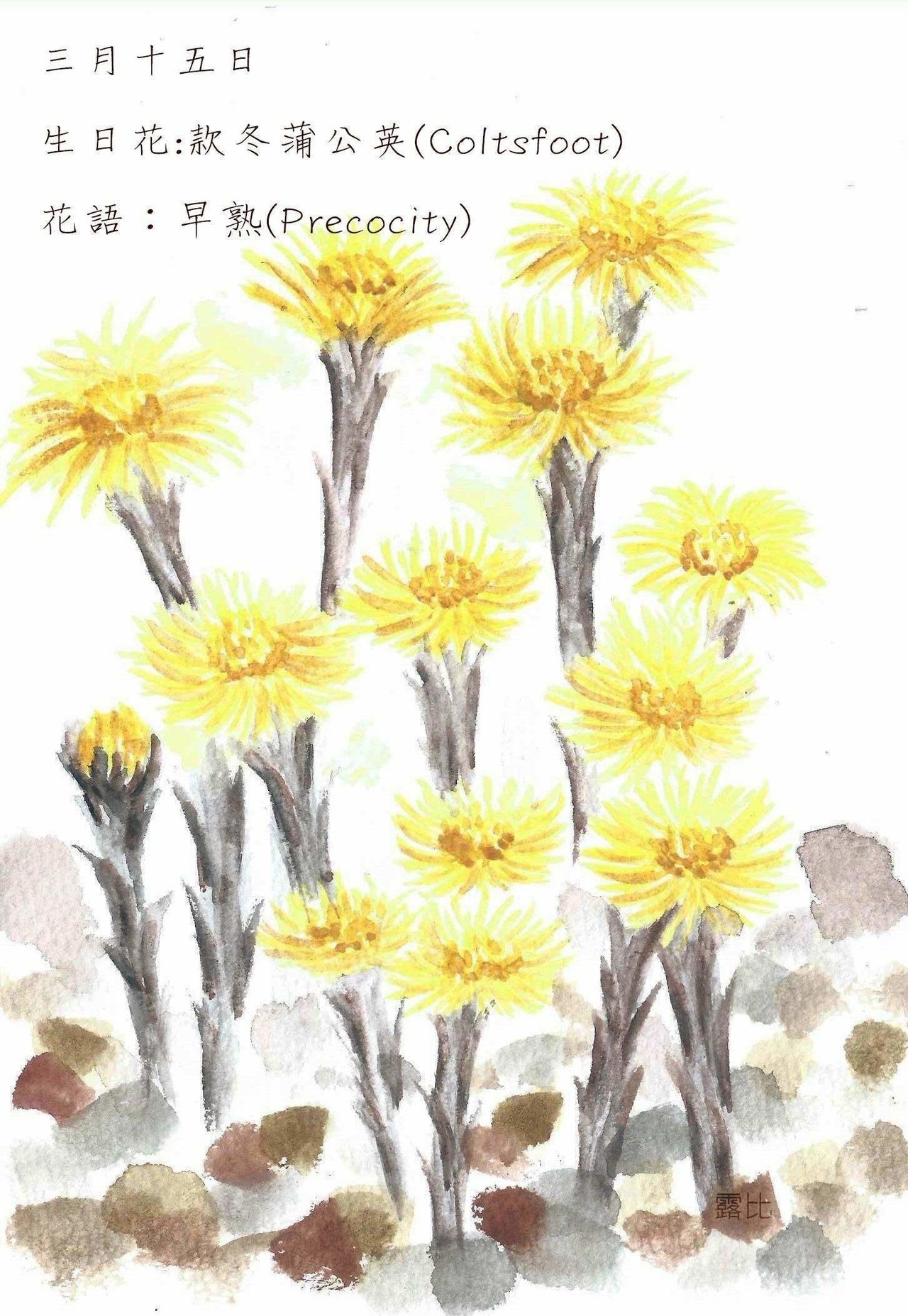 生日花 致3月15日的你 Justarabbit的創作 巴哈姆特