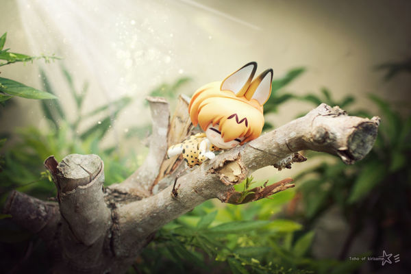[圖]
