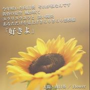 Flower 太陽と向日葵 日文歌詞 中文翻譯 Azx的創作 巴哈姆特