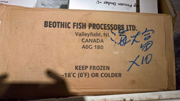 BEOTHIC FISH PROCESSORS LTD.開箱 - qoo31712的創作 - 巴哈姆特