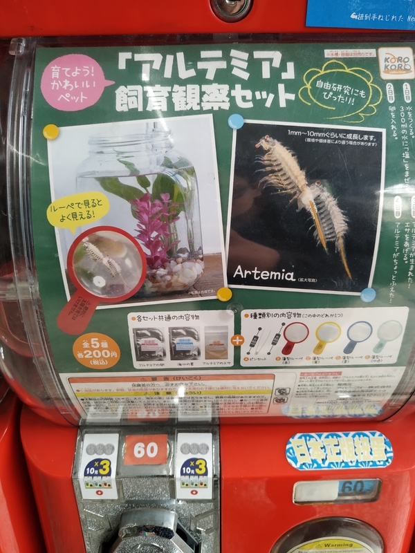 海猴(鹵蟲)飼養組合的轉蛋 開養 - Wayne890925的創作 - 巴哈姆特