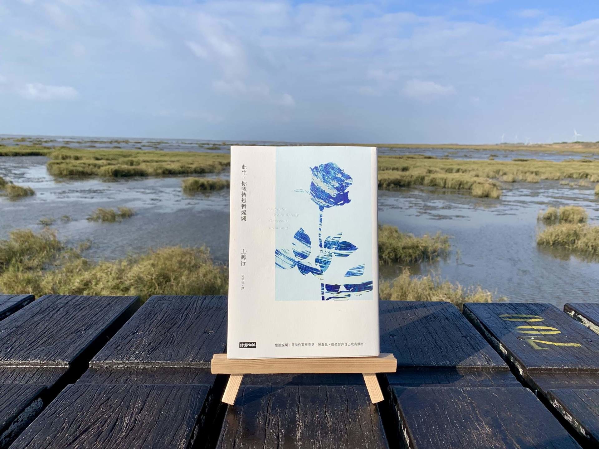 【書評】血液流進海洋，孕育出美麗——讀王鷗行《此生，你我皆短暫燦爛》 - mojkn2574985的創作 - 巴哈姆特