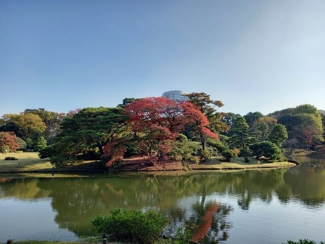 [遊記] 東京六義園(紅葉).東洋文庫博物館