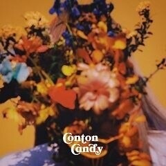 歌詞中文翻譯】ファジーネーブル/ Conton Candy - a108304021的創作