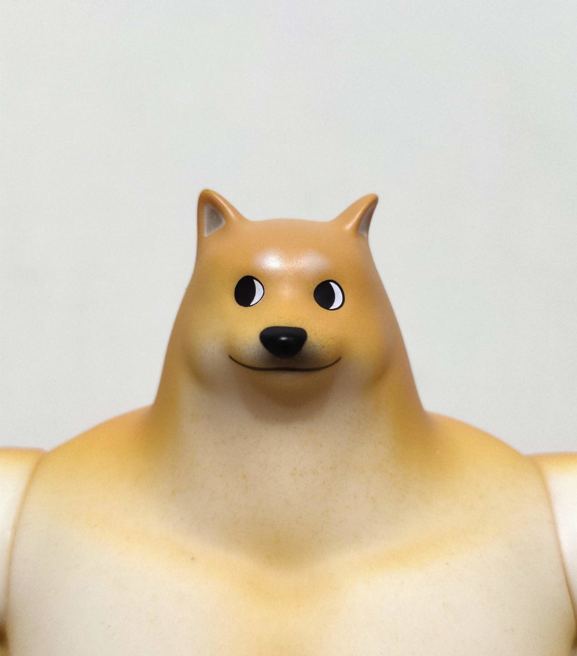 開箱) YOUTOOZ MEME 迷因SWOLE DOGE 肌肉柴- bigheadking的創作- 巴哈姆特