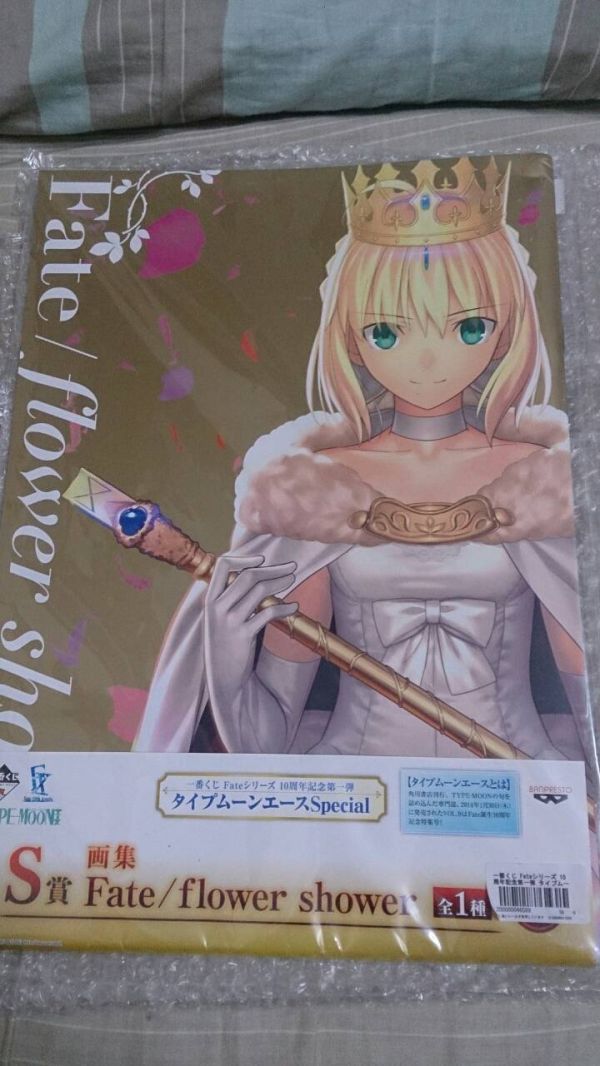 Fate 10周年記念第一彈Special S賞 畫集 - mnbv5552的創作 - 巴哈姆特