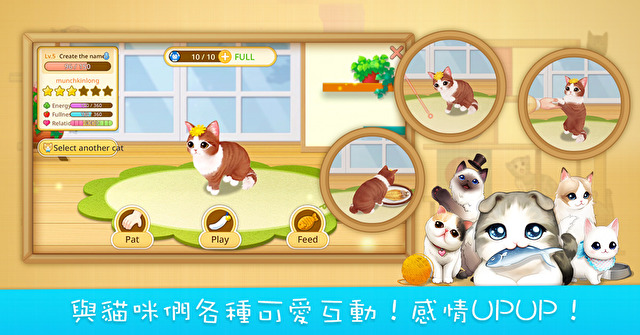 《line 猫咪咖啡厅》事前登录开始 与猫咪天天腻在一起打造可爱咖啡厅
