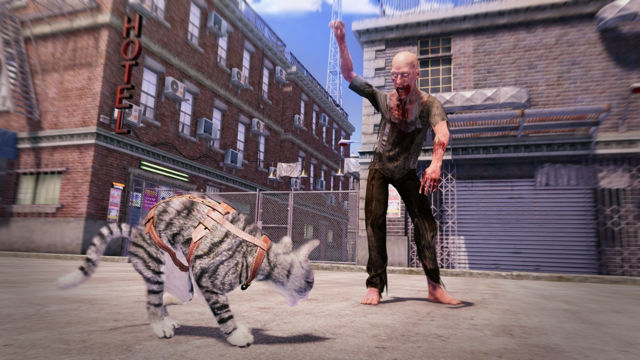以貓為主角動作冒險新作《麥克斯與瑪雅：模擬貓咪》公開 訓練自己的貓咪大軍