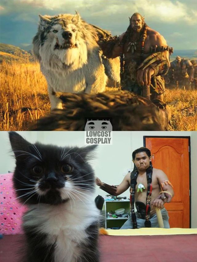 為扮演《魔獸》杜洛坦買一隻貓！專訪知名泰國 lowcostcosplay 分享點子來源