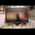 DELL 2405FPW